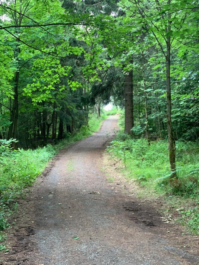 Fuehl Dich Wohl Διαμέρισμα Braunlage Εξωτερικό φωτογραφία